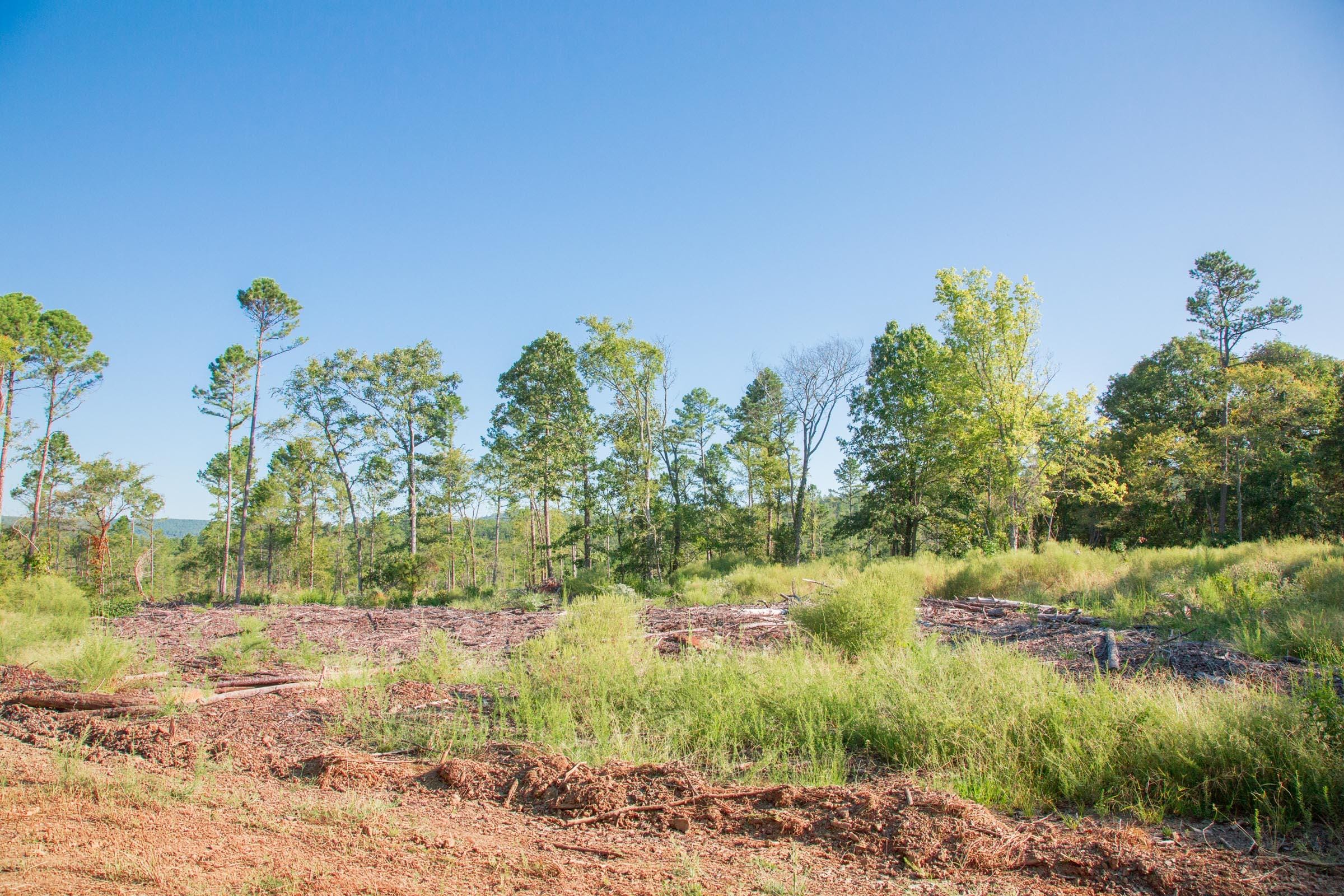 Stone Creek Phase II Tract 272 photo 2