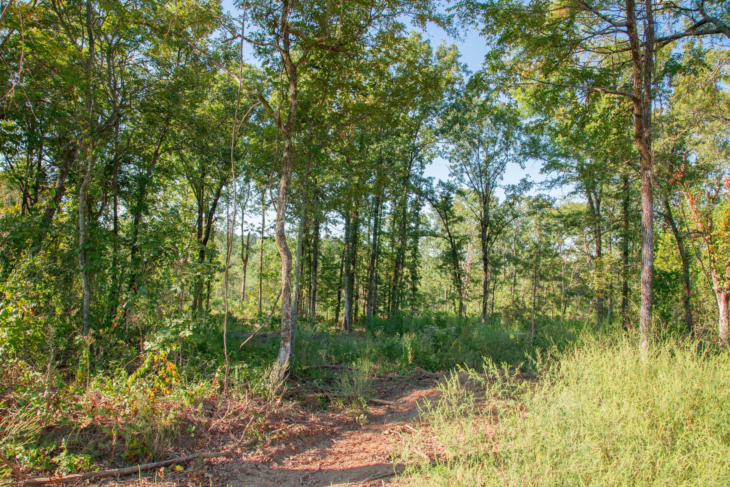 Stone Creek Phase II Tract 272 photo 3