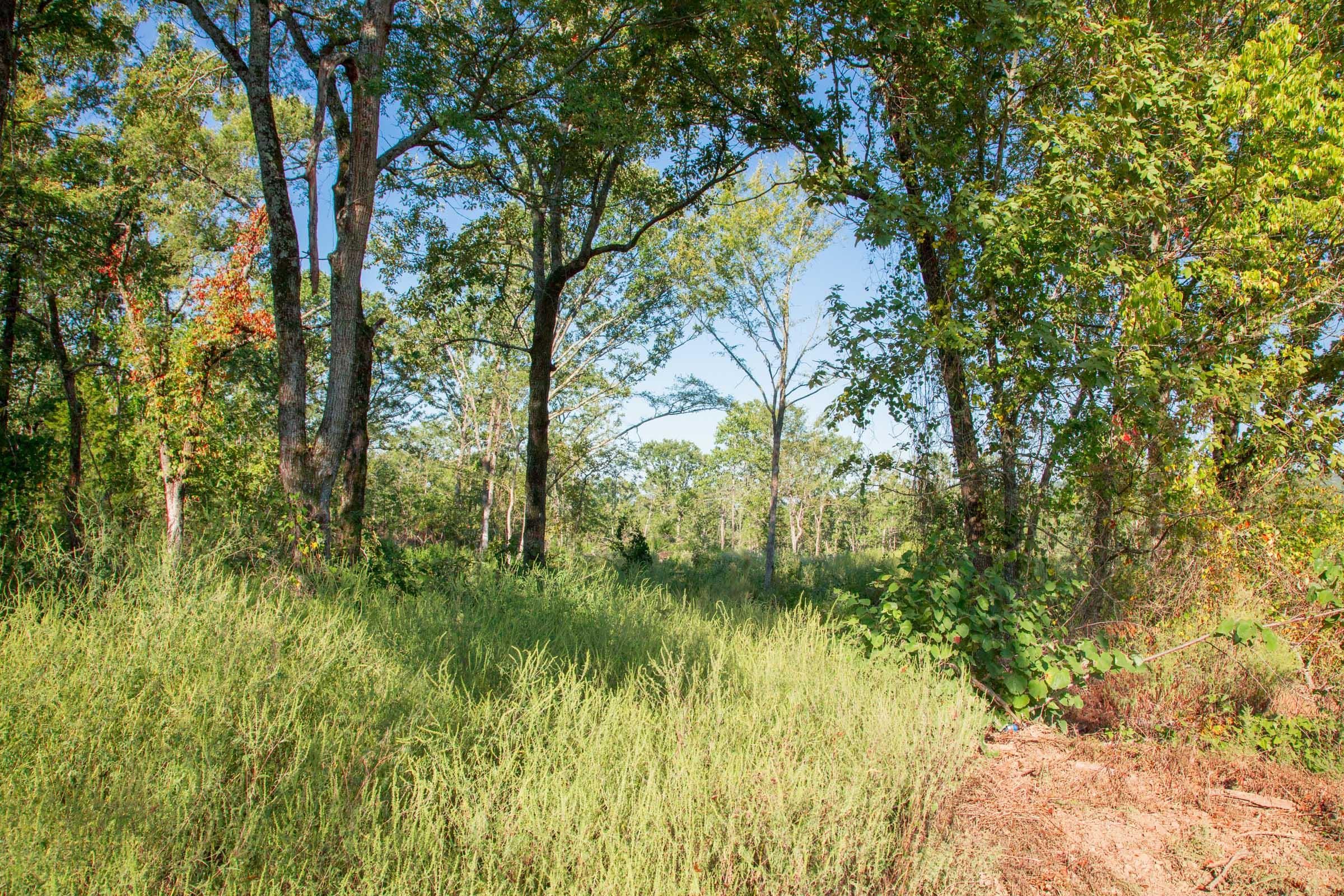 Stone Creek Phase II Tract 272 photo 4