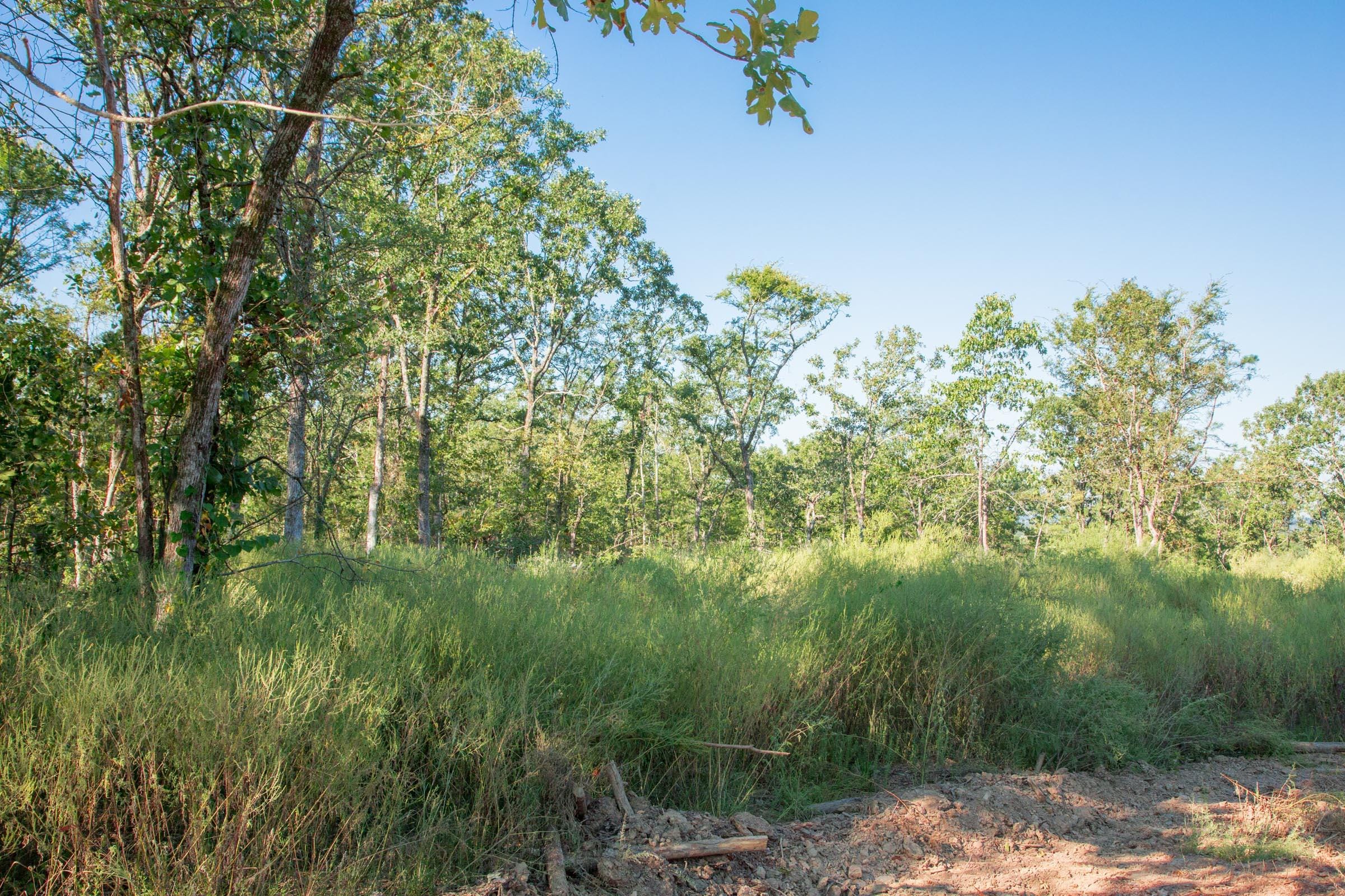 Stone Creek Phase II Tract 272 photo 6