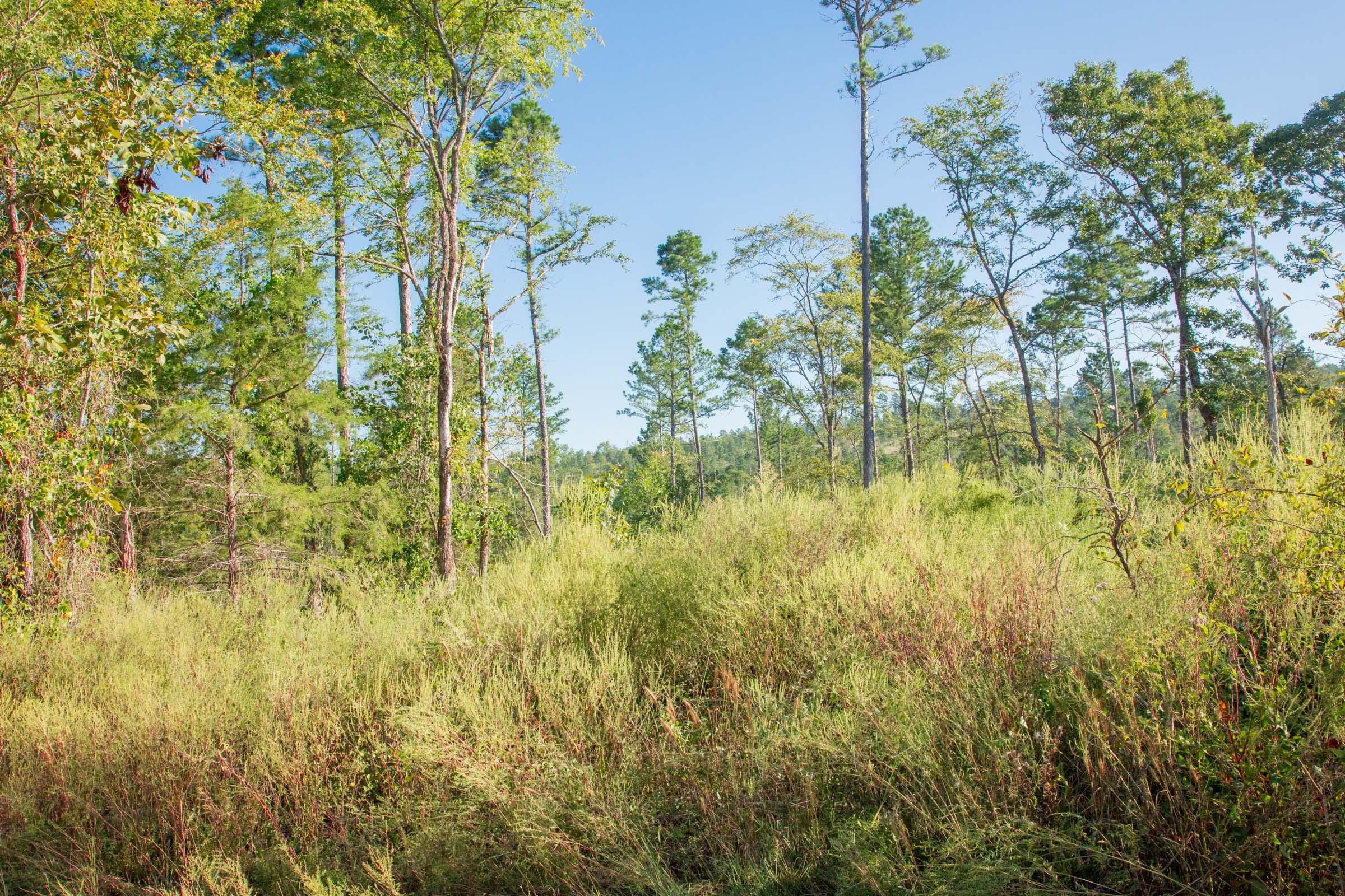 Stone Creek Phase II Tract 272 photo 7