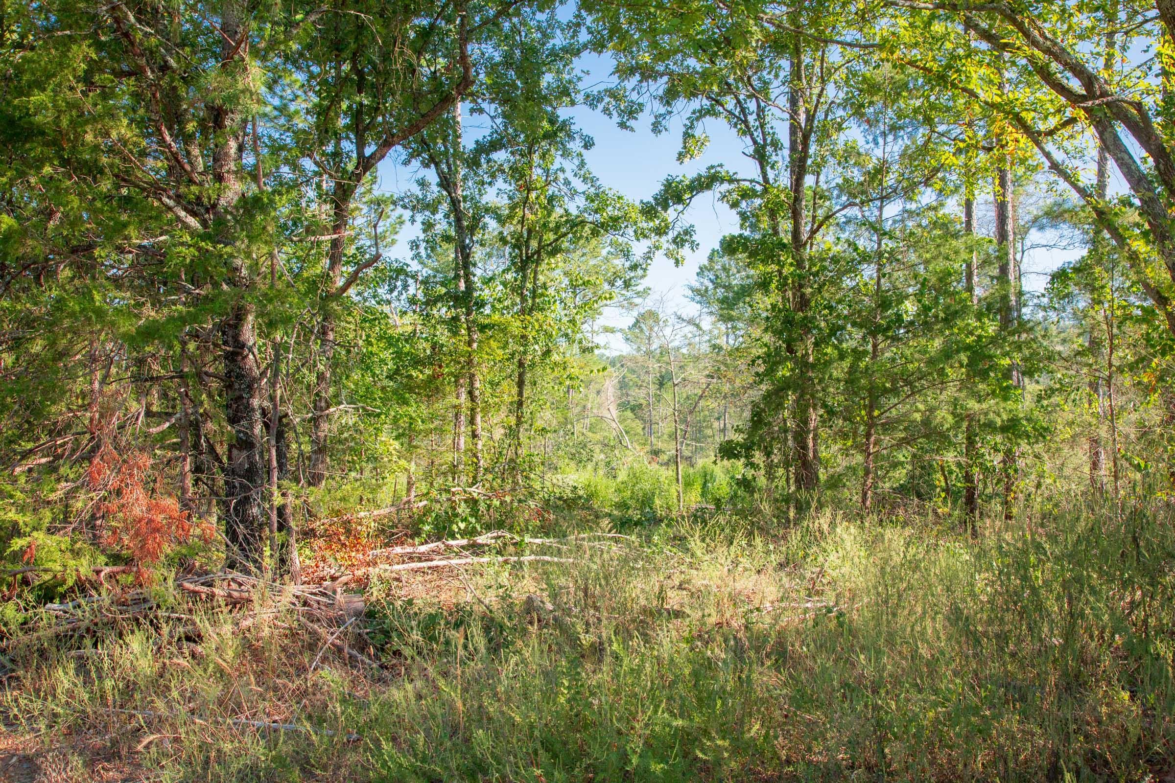 Stone Creek Phase II Tract 272 photo 8