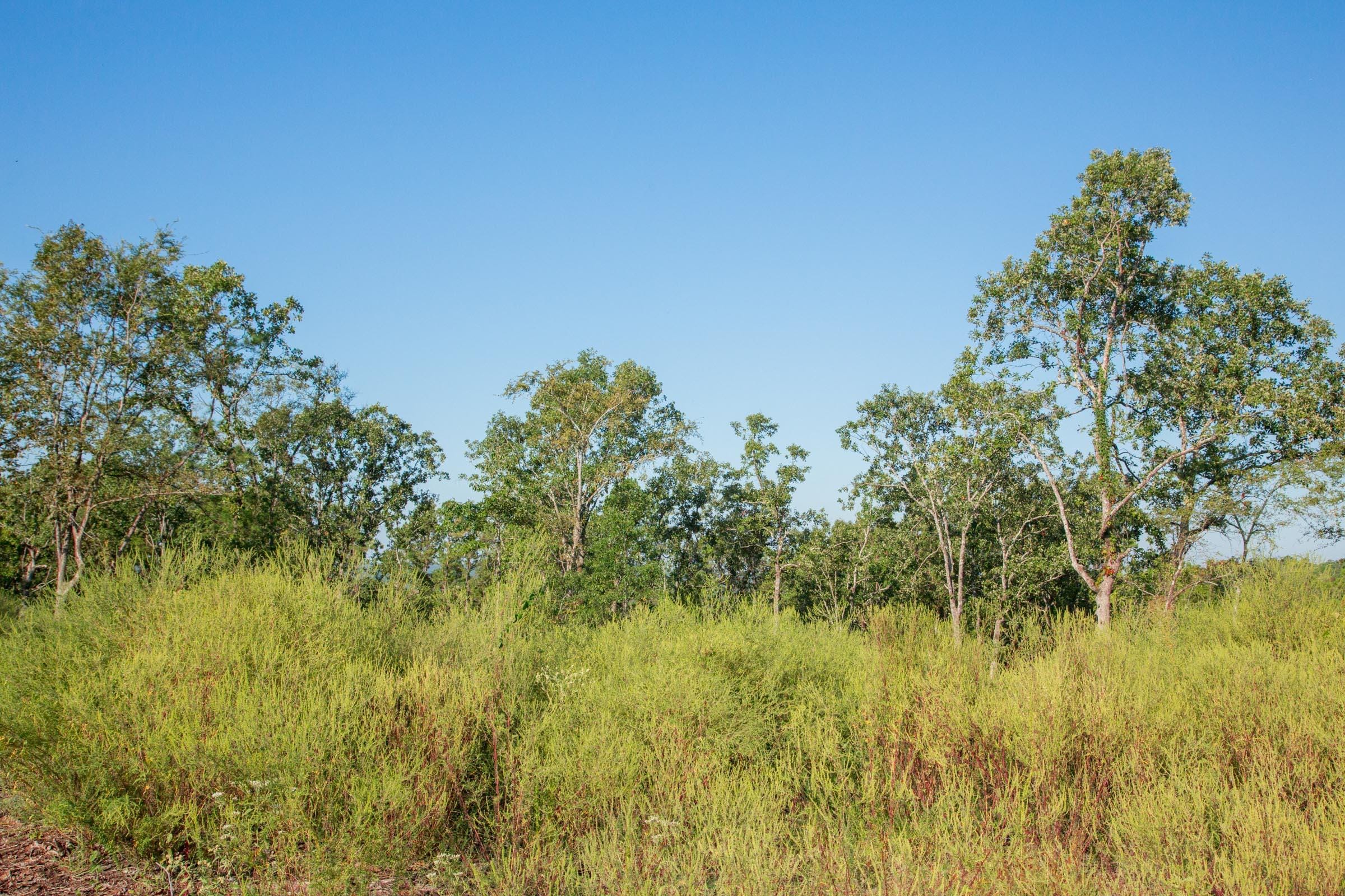 Stone Creek Phase II Tract 272 photo 9