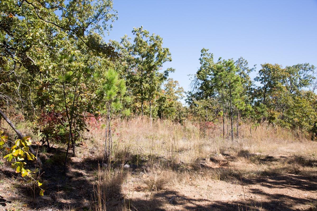 Stone Creek Phase I Tract 108 photo 3