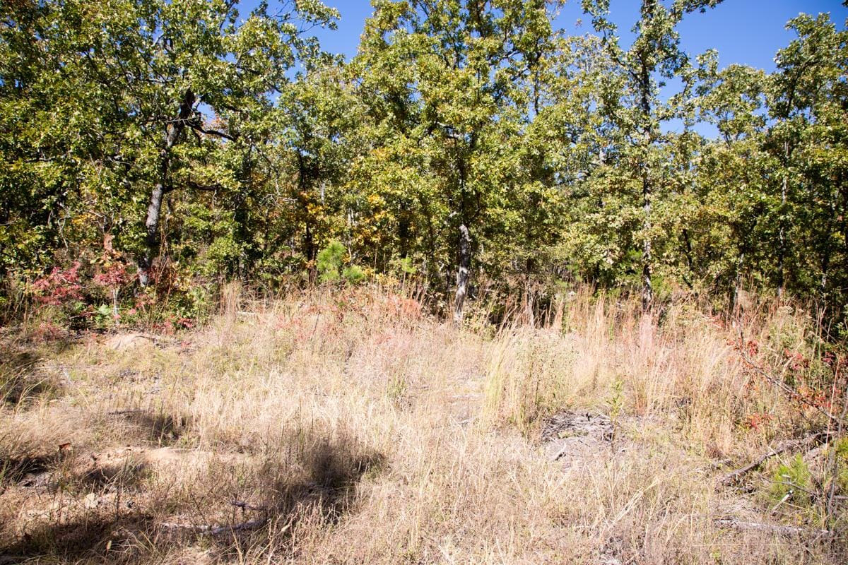 Stone Creek Phase I Tract 108 photo 4