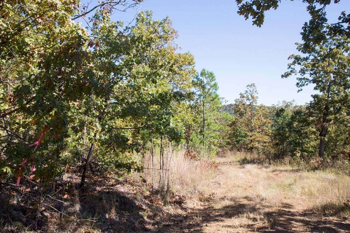Stone Creek Phase I Tract 108 photo 7