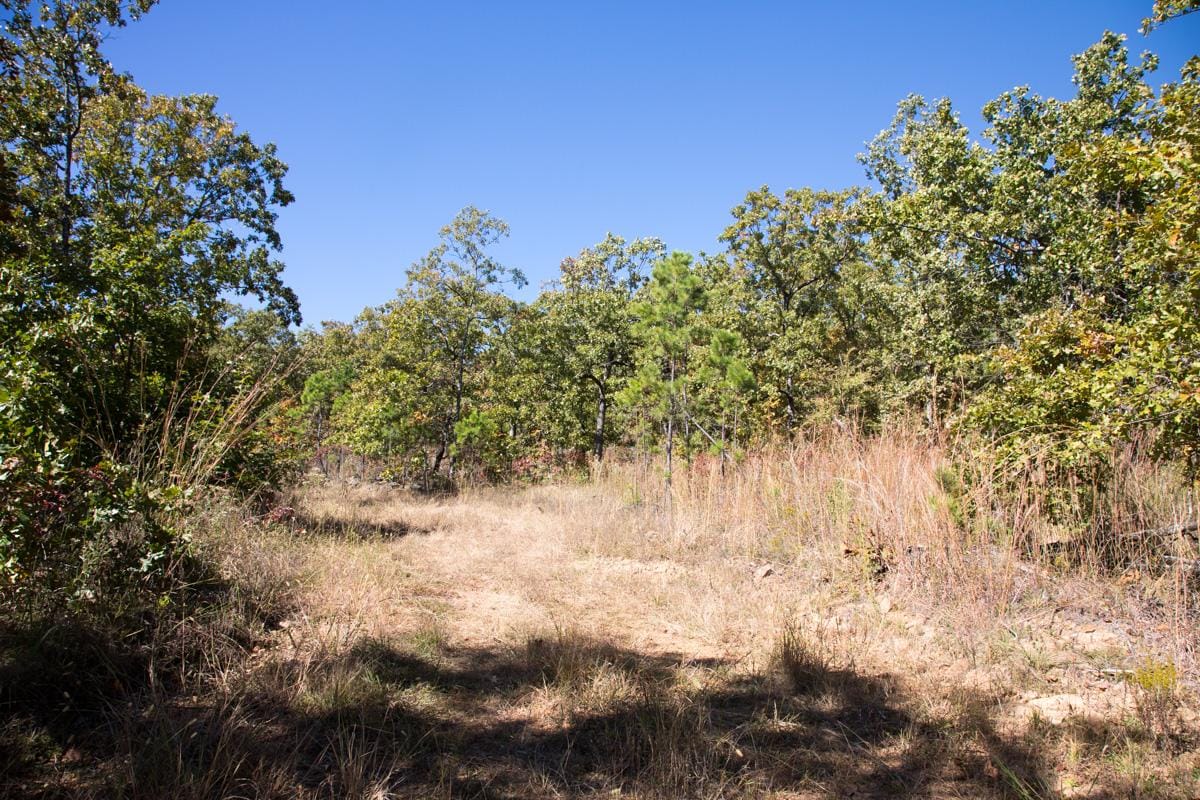 Stone Creek Phase I Tract 108 photo 2