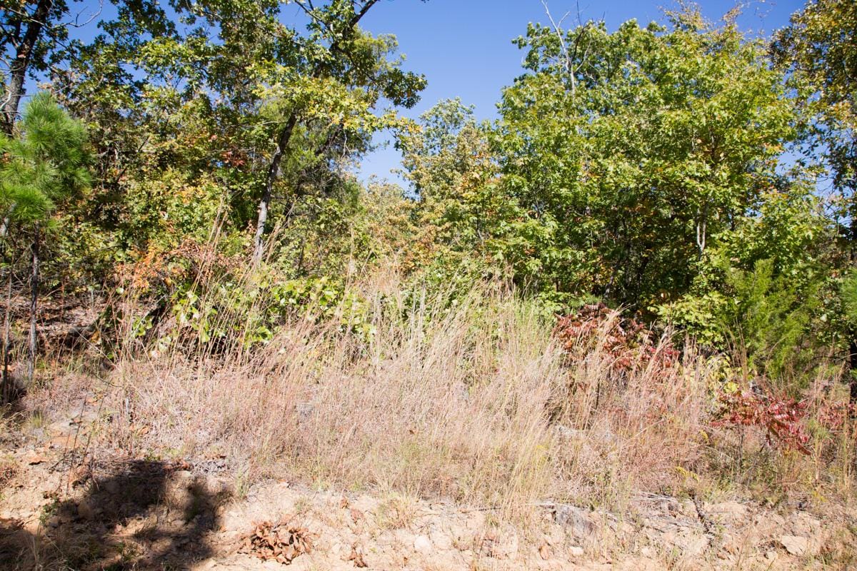 Stone Creek Phase I Tract 108 photo 8