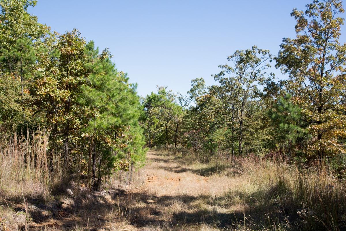 Stone Creek Phase I Tract 108 photo 9