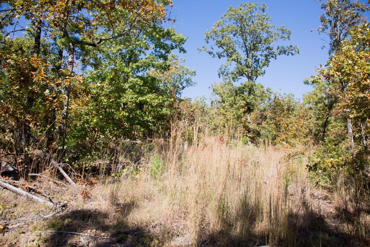 Stone Creek Phase I Tract 108 photo 11