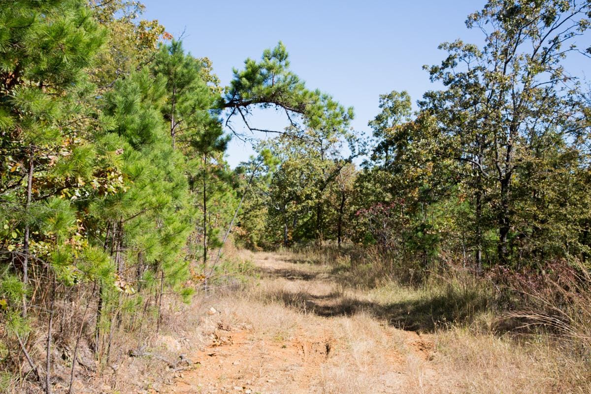 Stone Creek Phase I Tract 108 photo 10