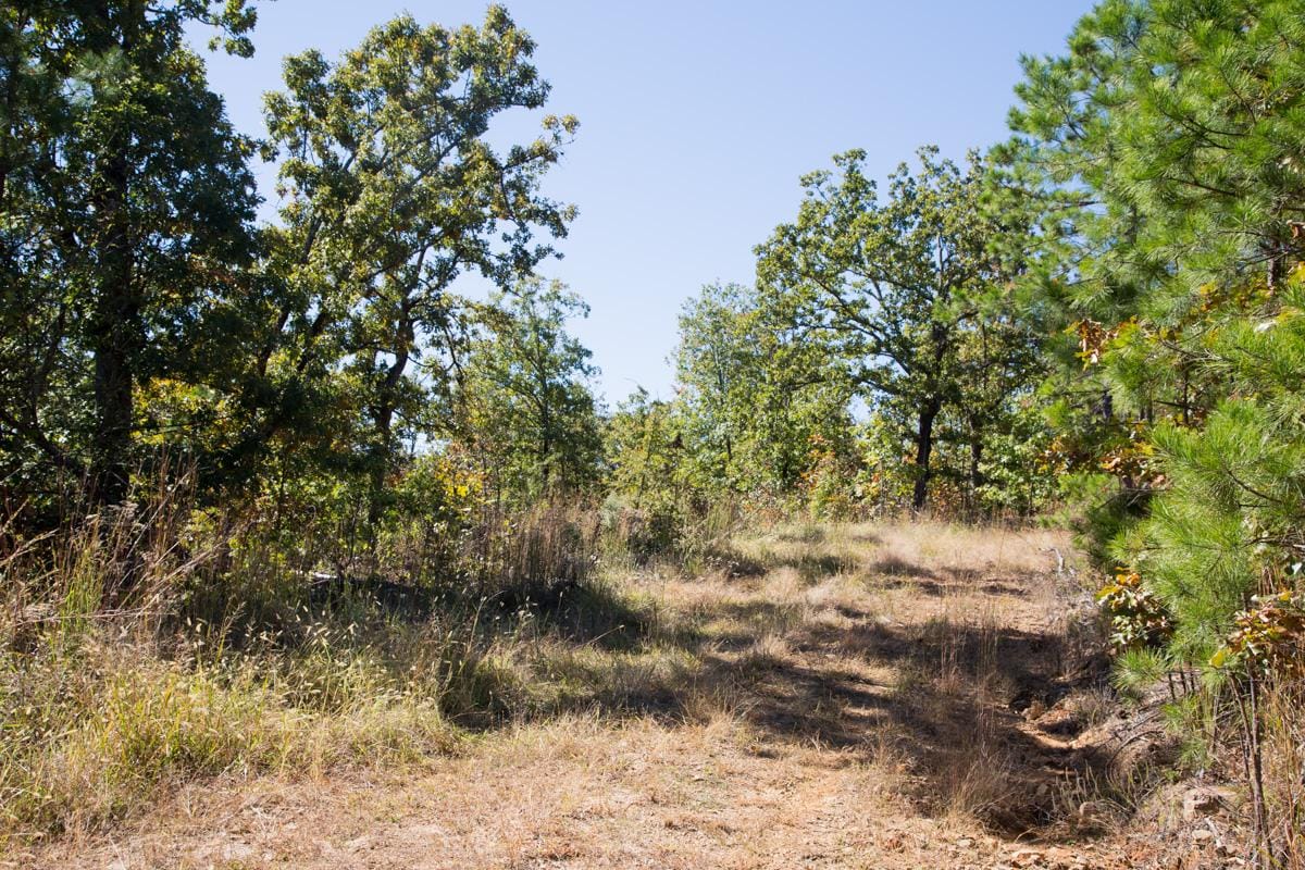 Stone Creek Phase I Tract 108 photo 12