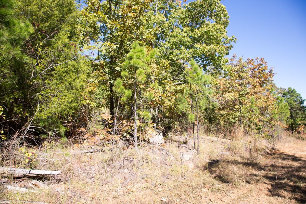 Stone Creek Phase I Tract 108 photo 14