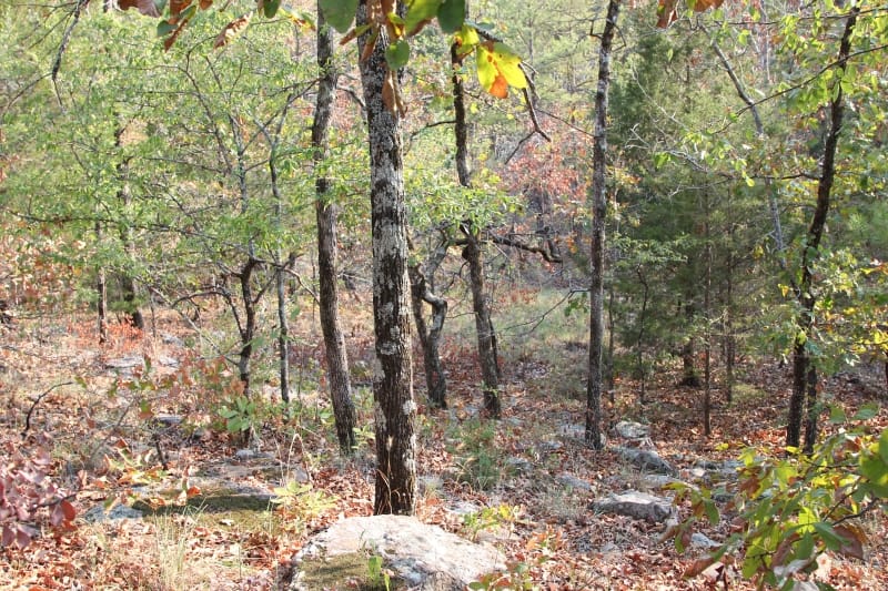 Lake View Ranch Tract 23 photo 1