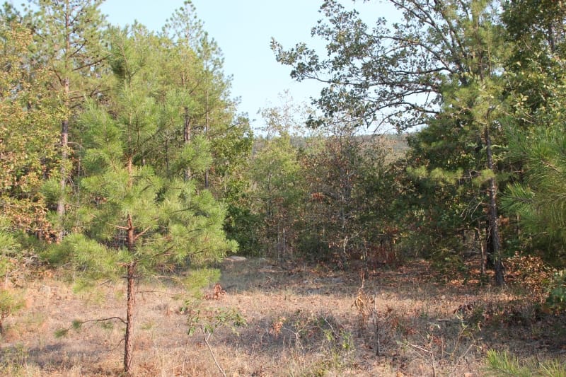 Lake View Ranch Tract 23 photo 3