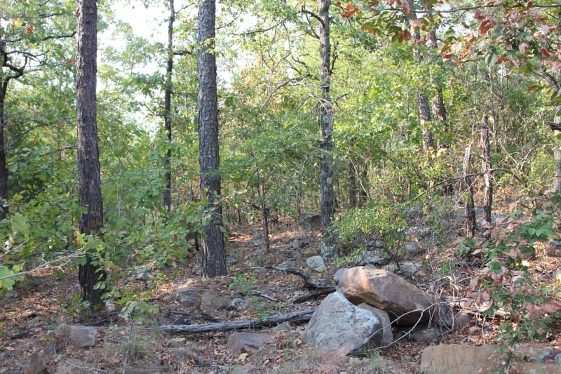 Lake View Ranch Tract 23 photo 5