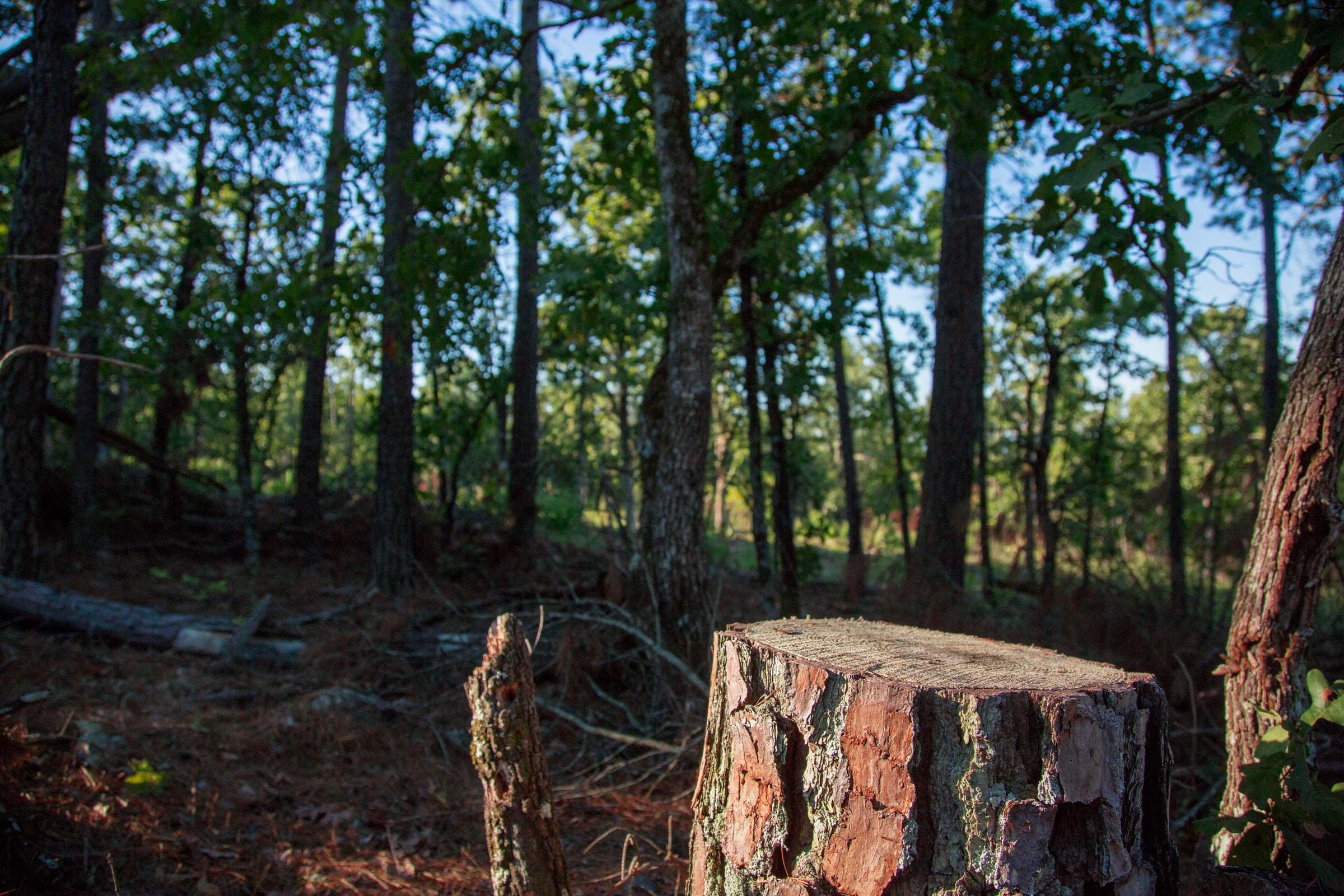 Stone Creek Phase II Tract 278 photo 2