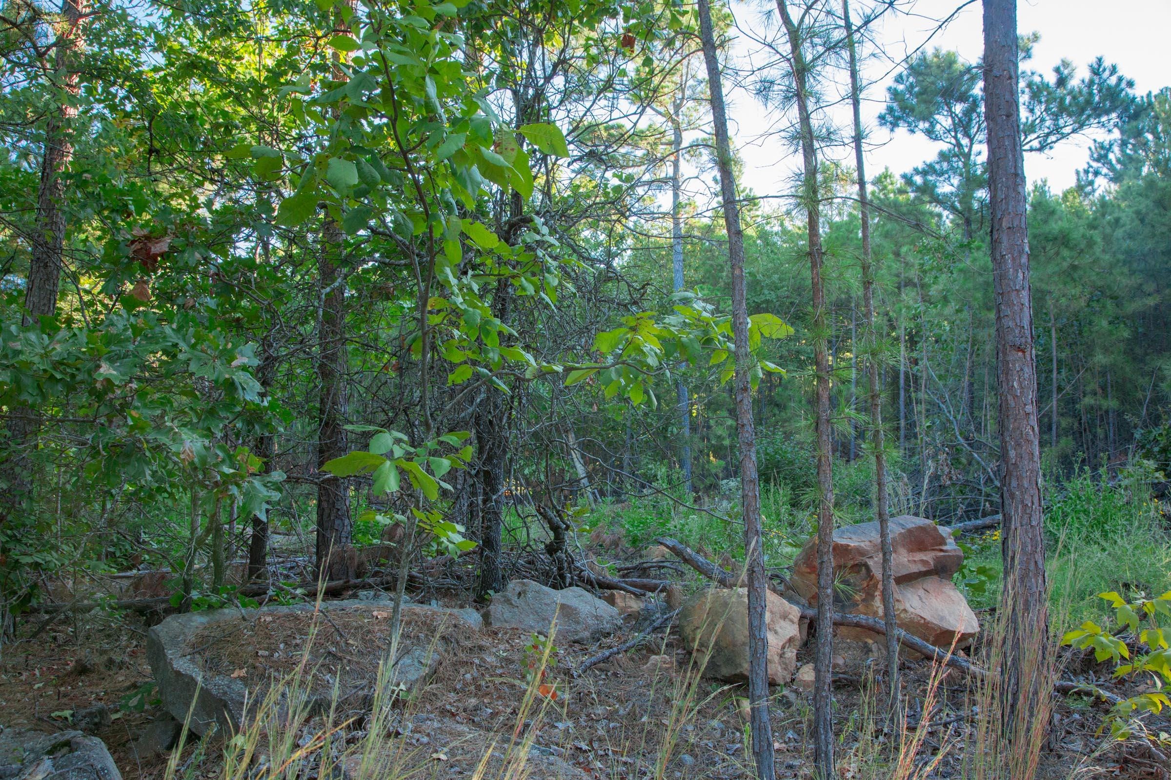 Stone Creek Phase II Tract 278 photo 3