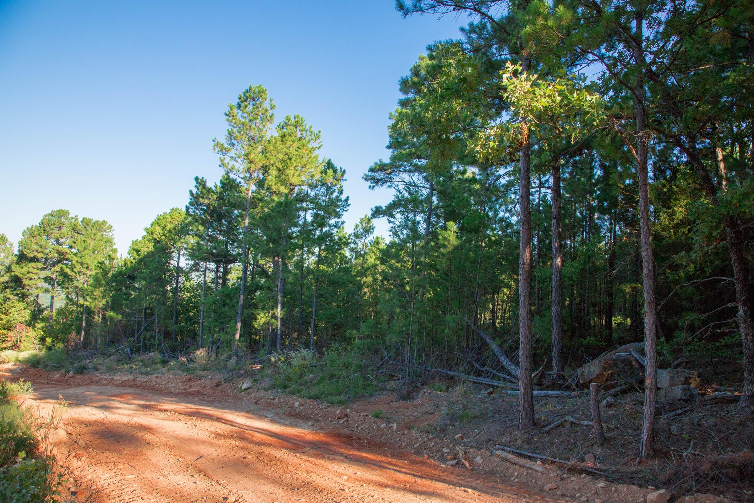 Stone Creek Phase II Tract 278 photo 4