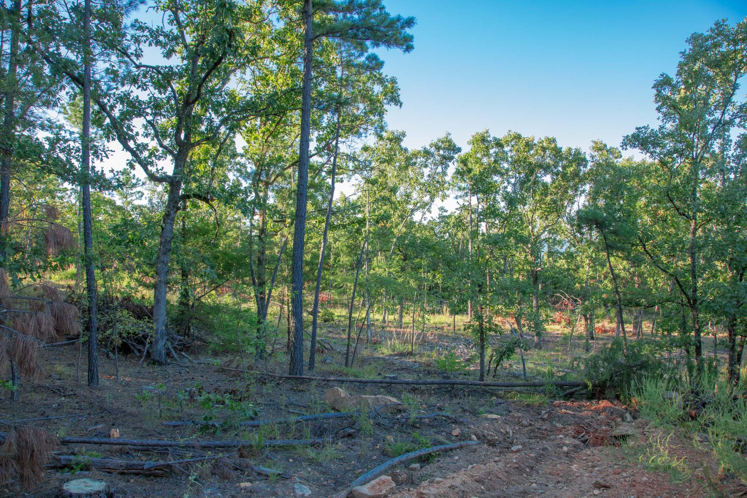 Stone Creek Phase II Tract 278 photo 5