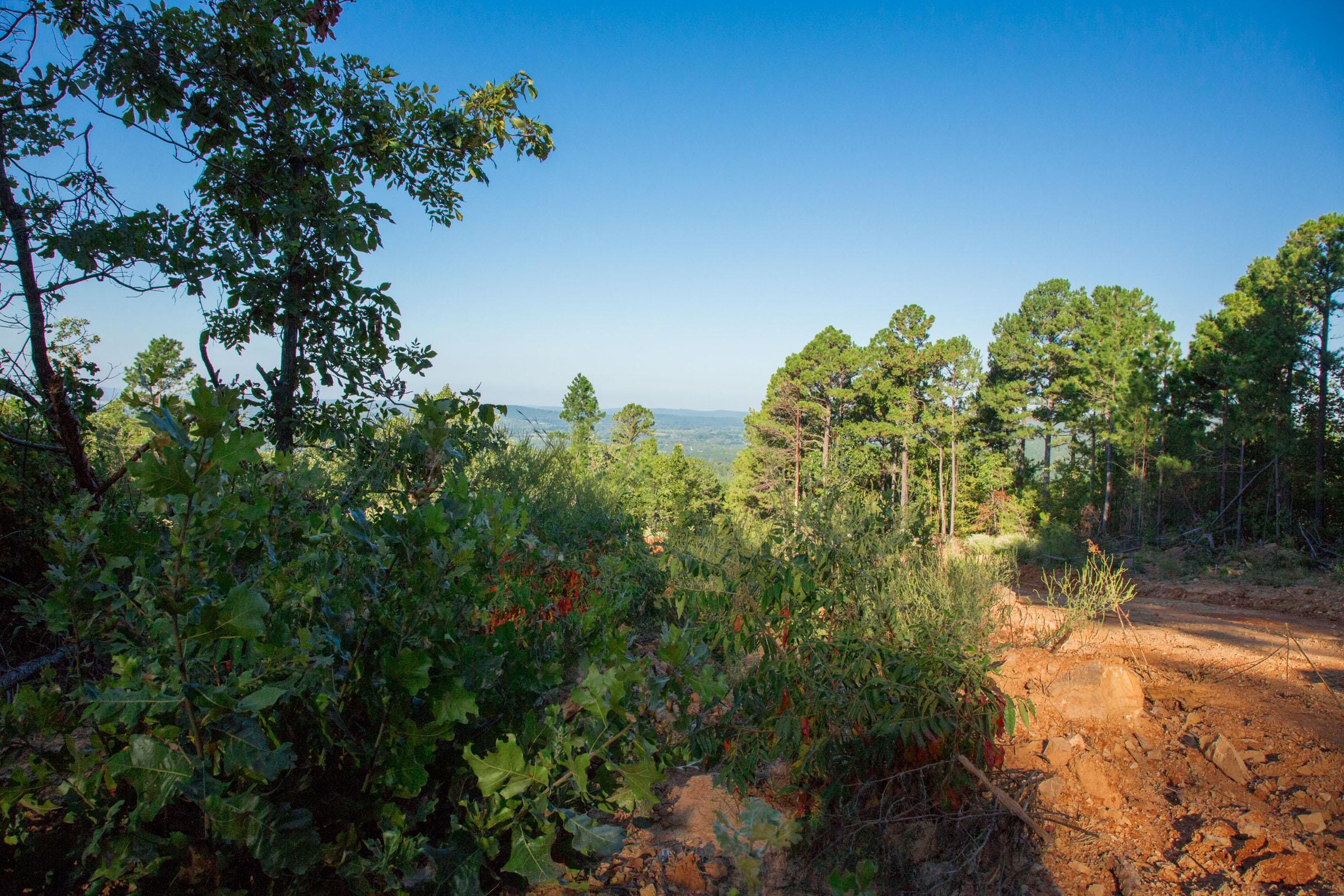 Stone Creek Phase II Tract 278 photo 6