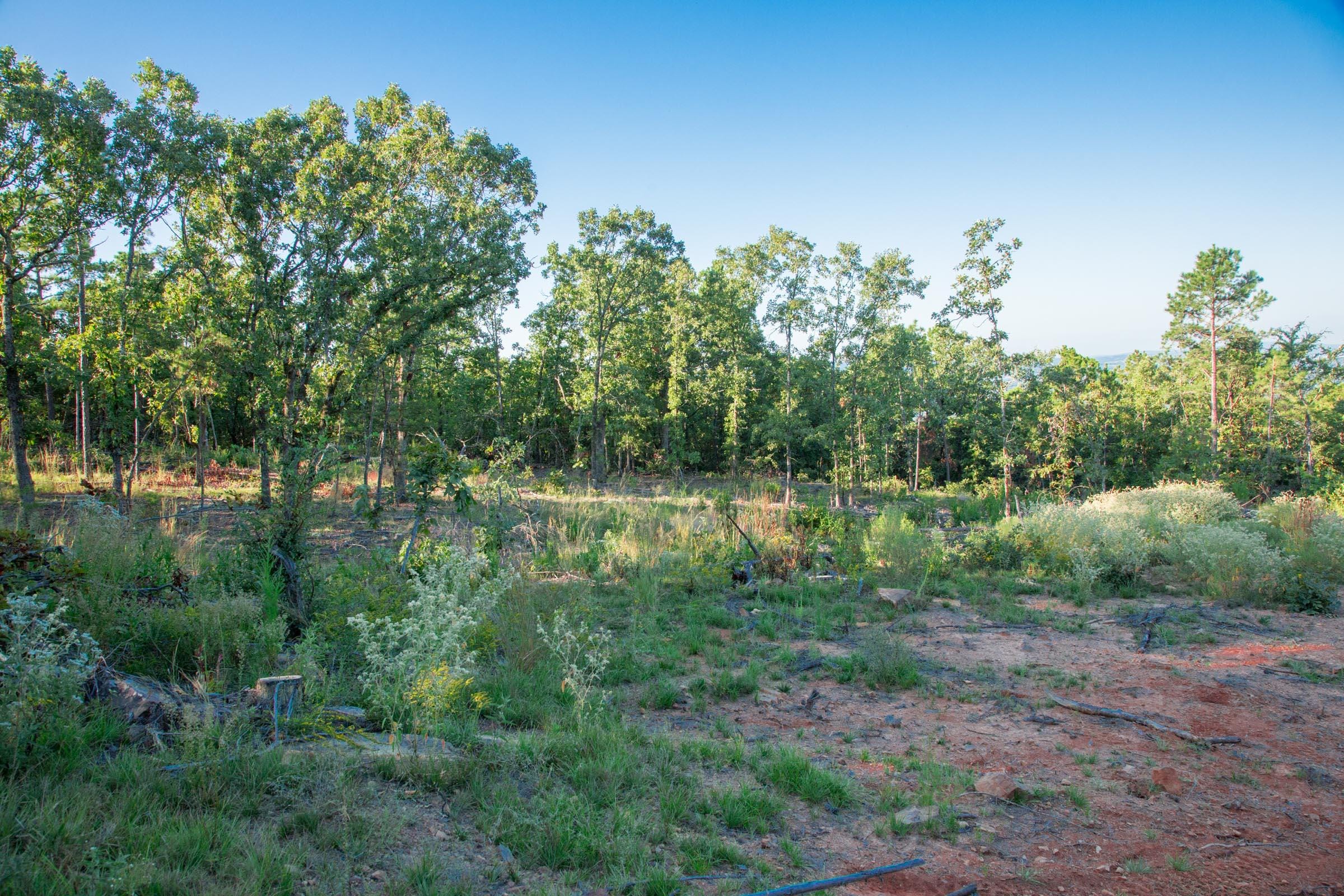 Stone Creek Phase II Tract 278 photo 7