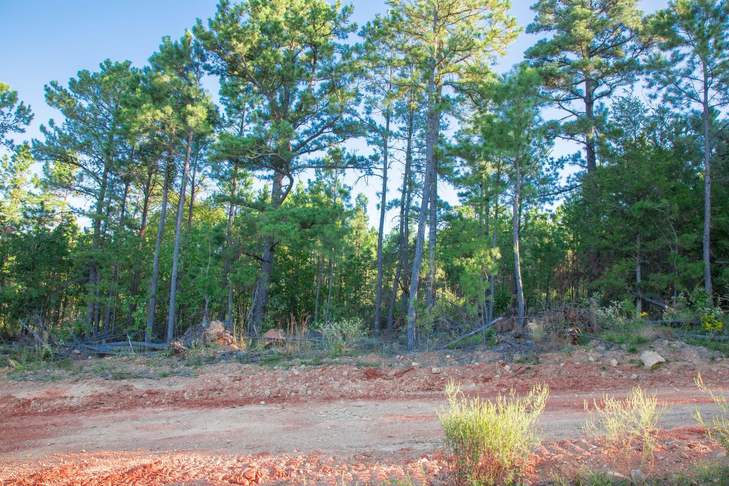 Stone Creek Phase II Tract 278 photo 8