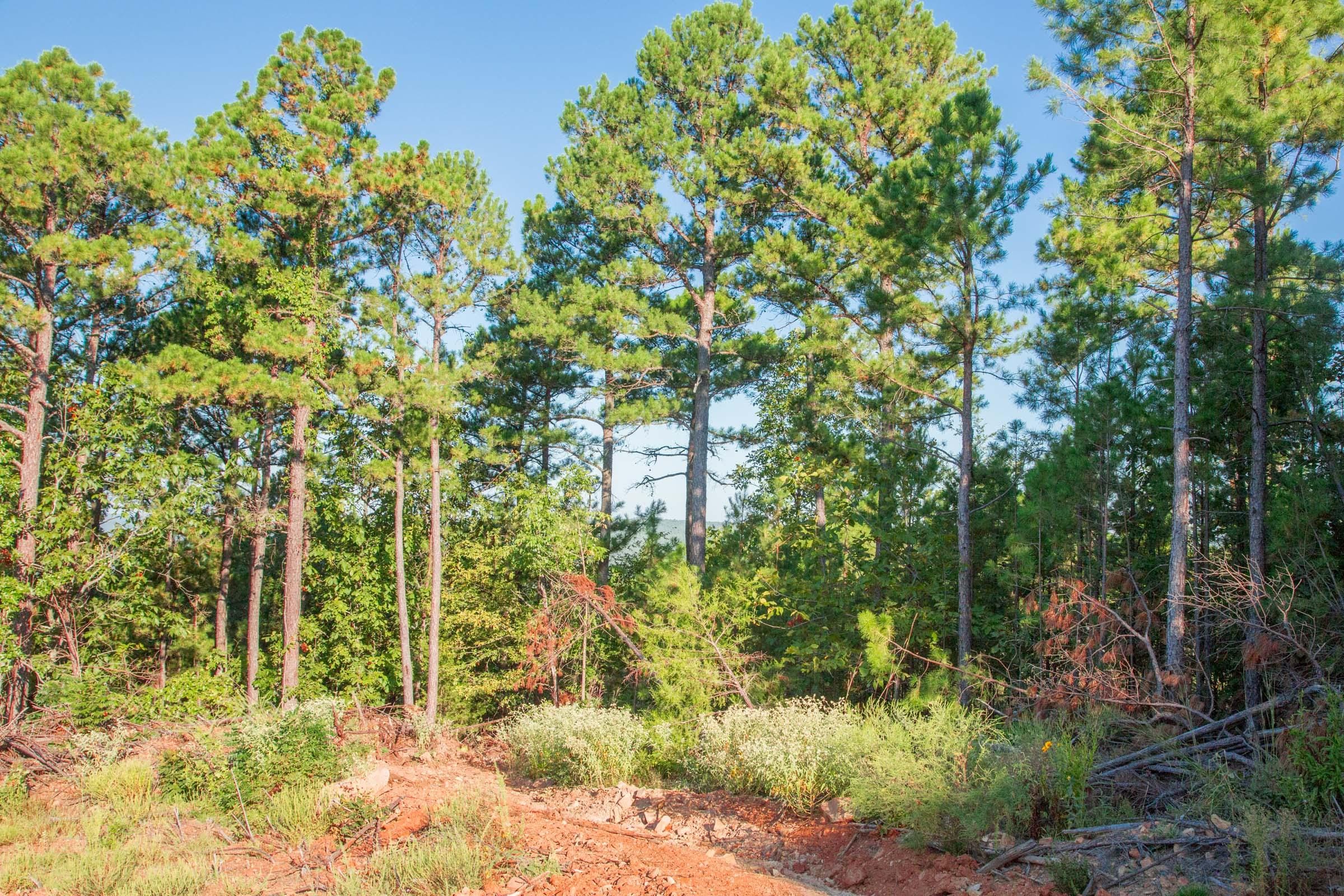 Stone Creek Phase II Tract 278 photo 10