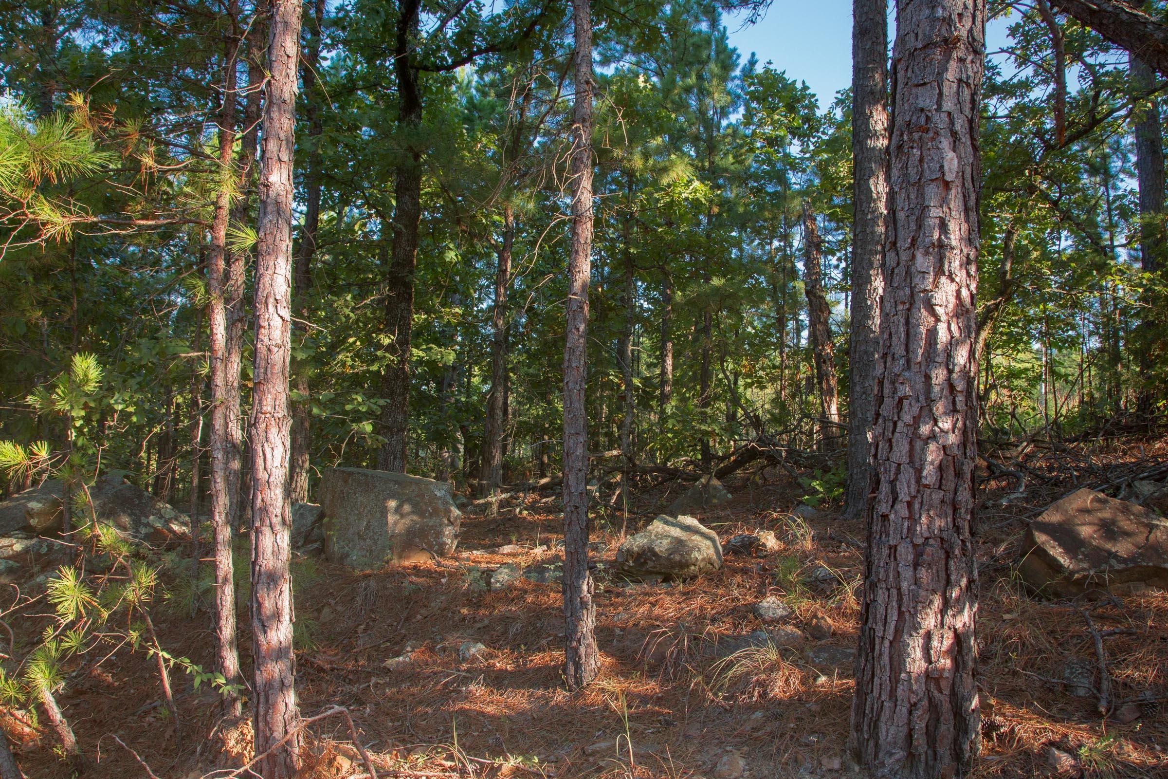 Stone Creek Phase II Tract 278 photo 11