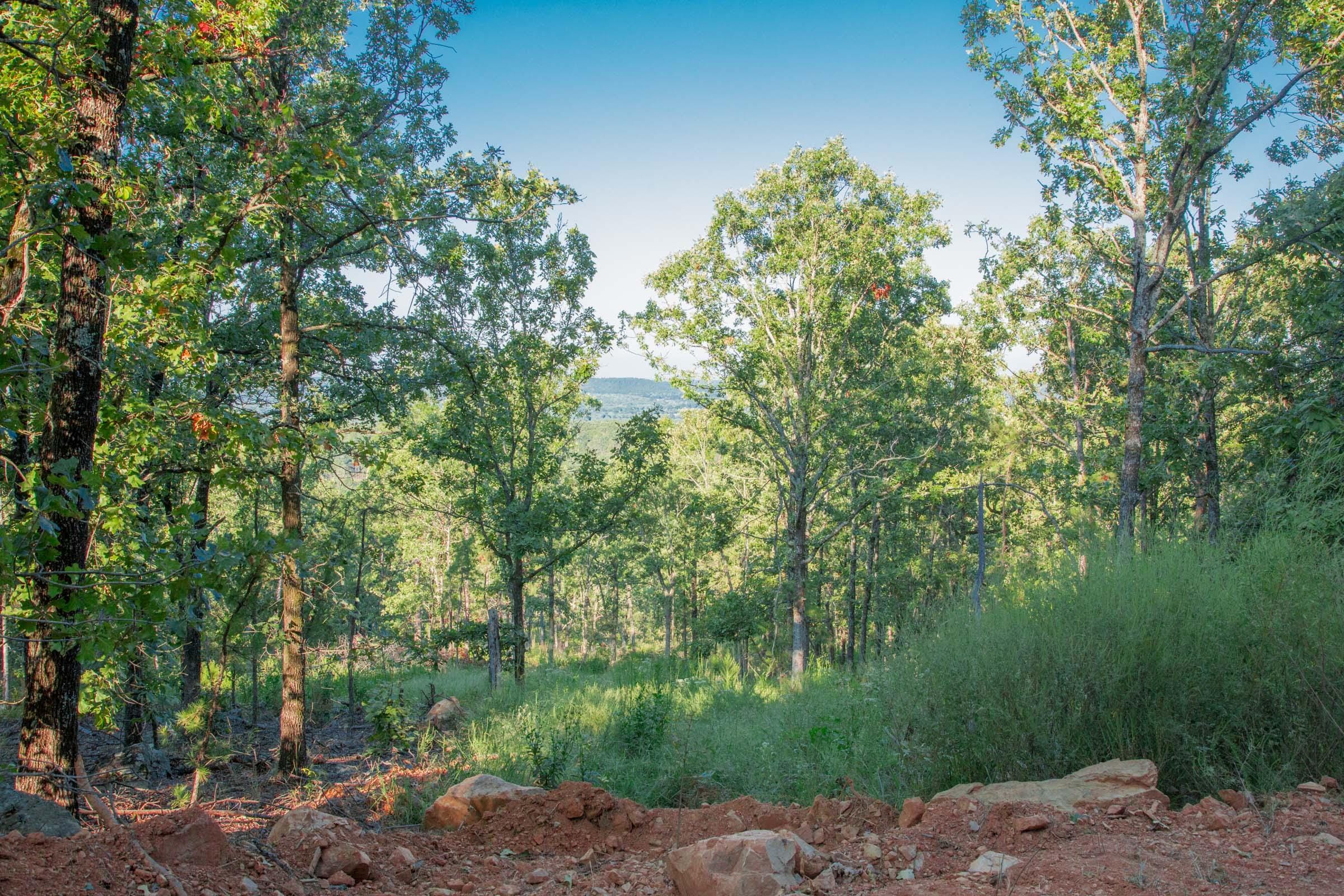 Stone Creek Phase II Tract 278 photo 12