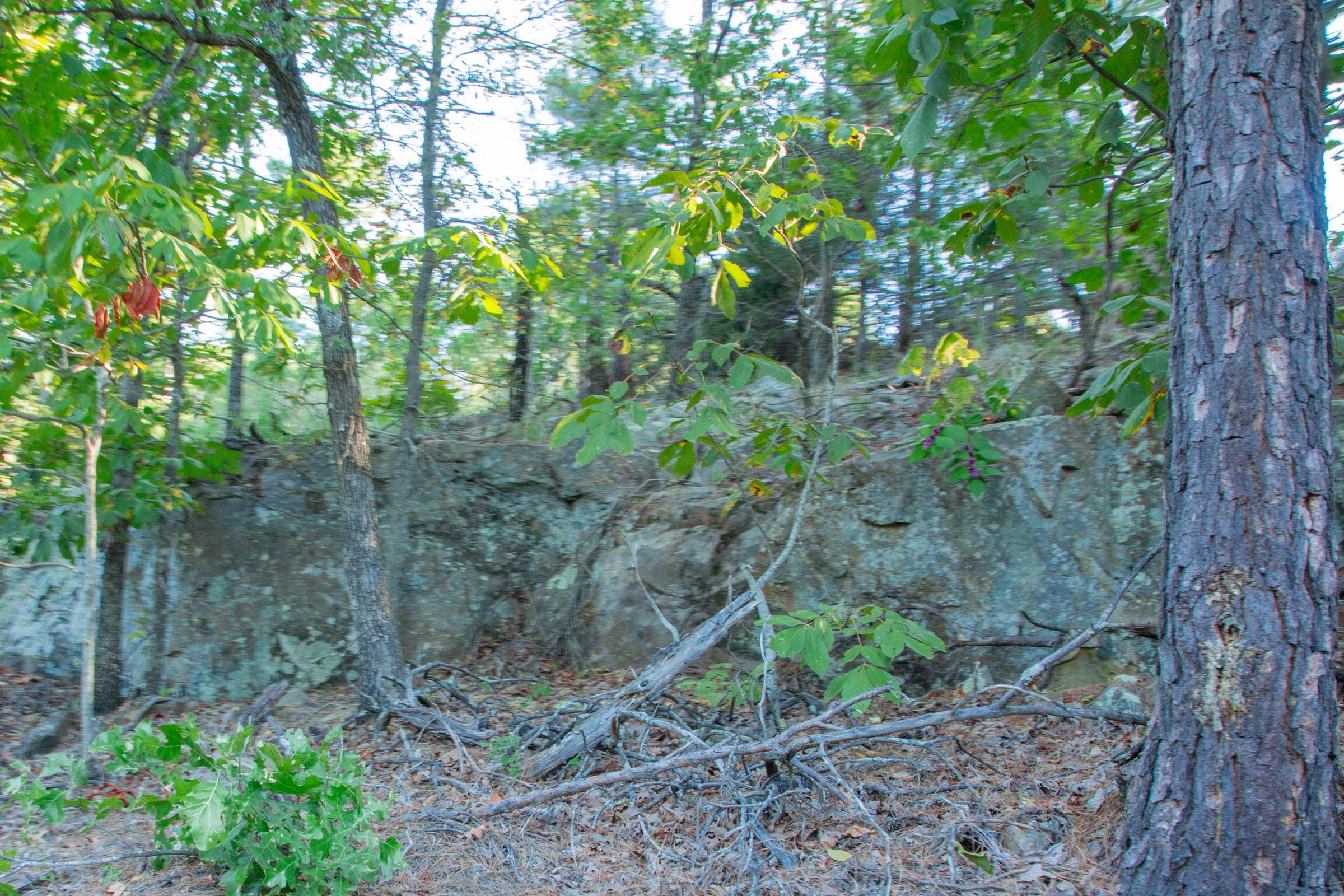Stone Creek Phase II Tract 278 photo 13