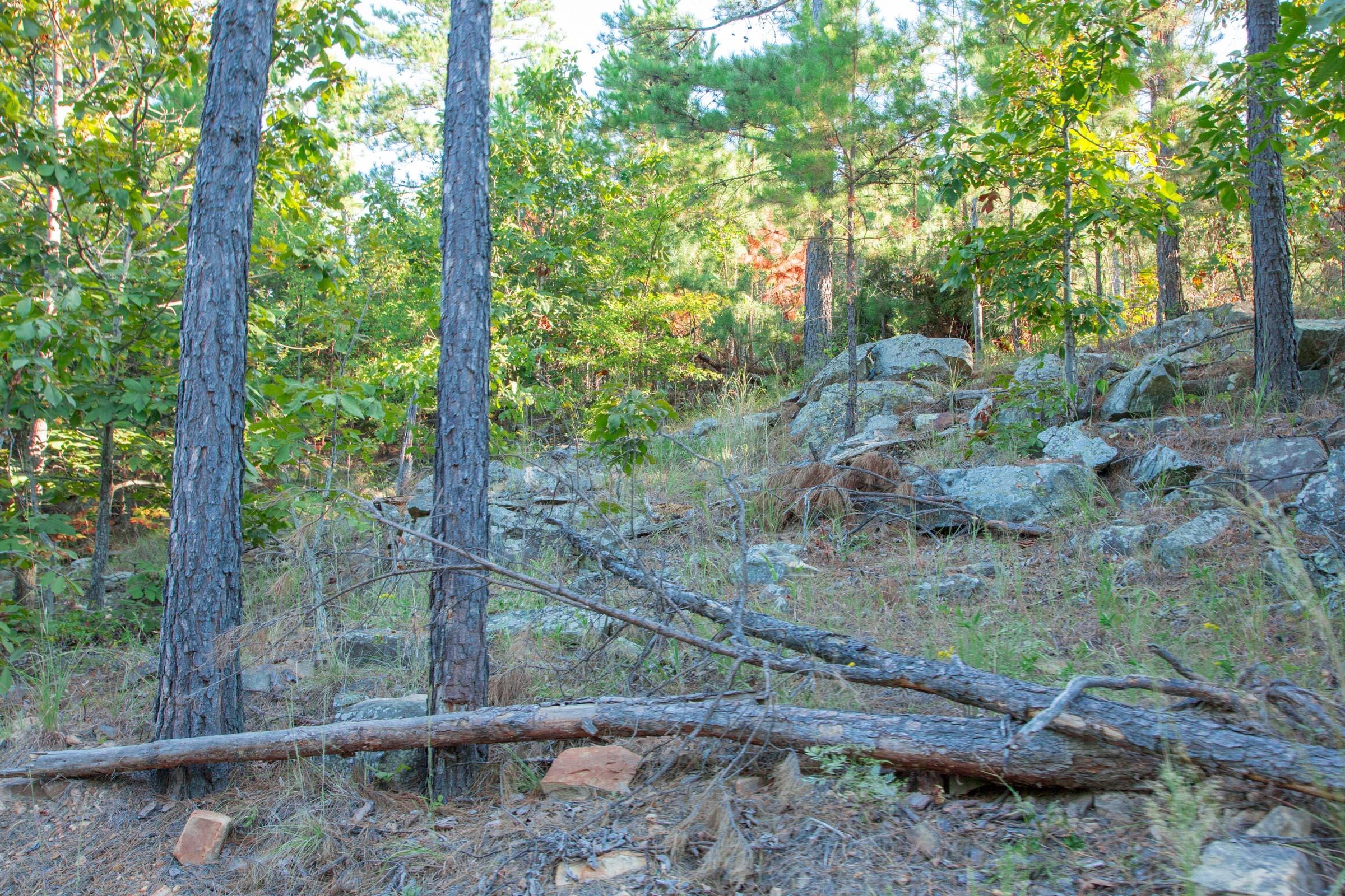 Stone Creek Phase II Tract 278 photo 14