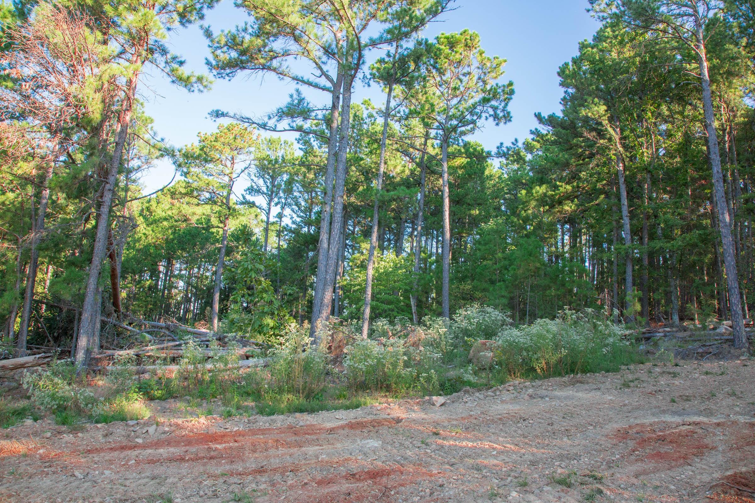 Stone Creek Phase II Tract 278 photo 16
