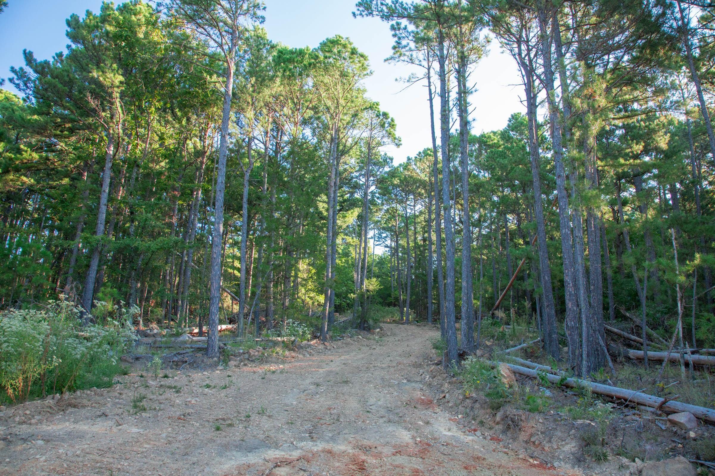 Stone Creek Phase II Tract 278 photo 17