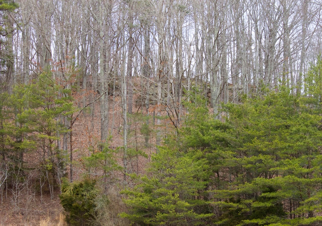 Majestic Rock Ranch Tract 7 photo 7