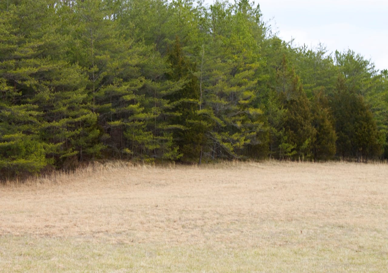 Majestic Rock Ranch Tract 7 photo 8
