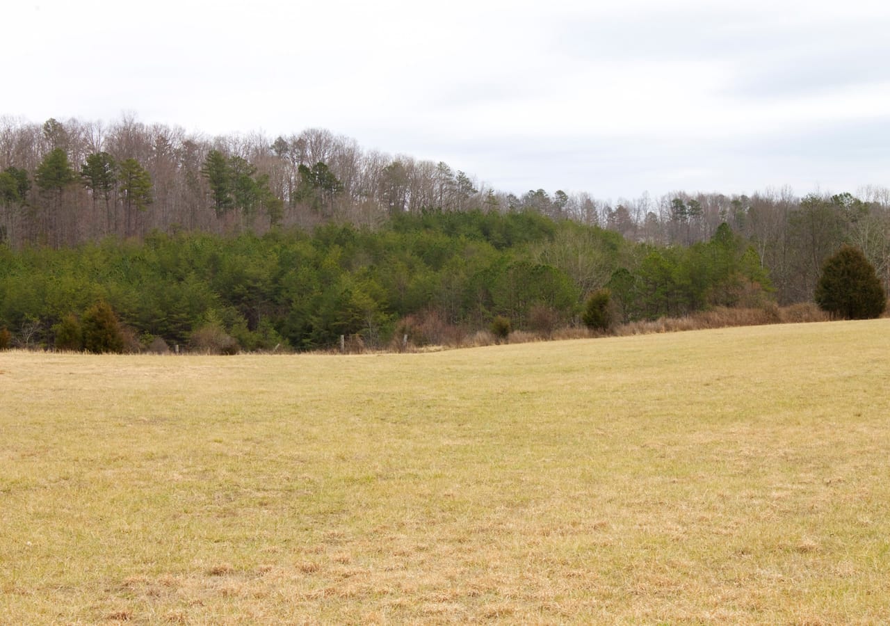 Majestic Rock Ranch Tract 7 photo 9