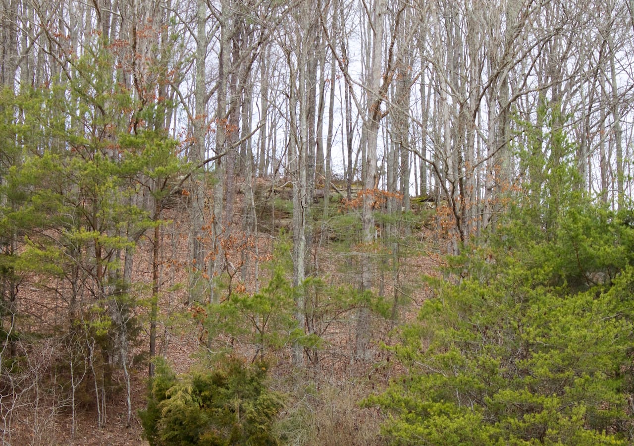 Majestic Rock Ranch Tract 7 photo 10