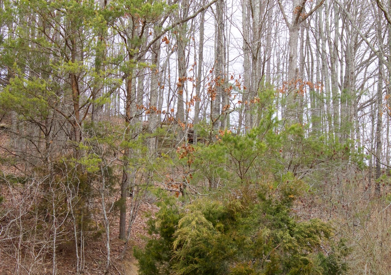 Majestic Rock Ranch Tract 7 photo 11