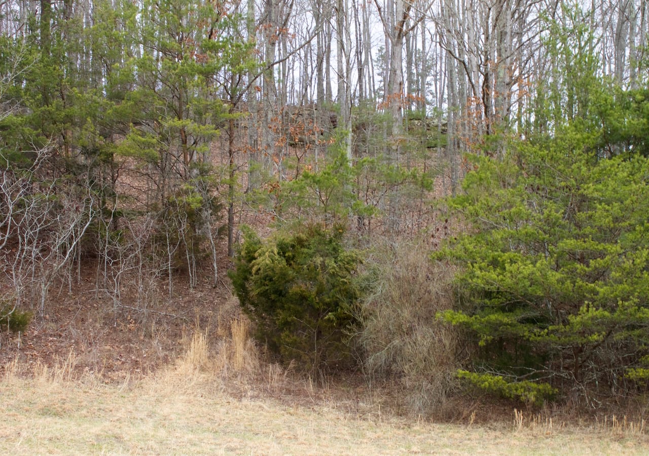 Majestic Rock Ranch Tract 7 photo 12