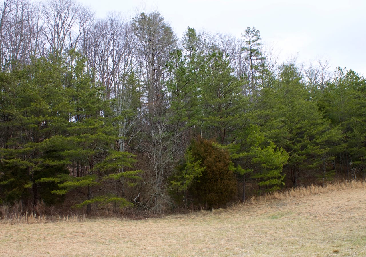 Majestic Rock Ranch Tract 7 photo 13