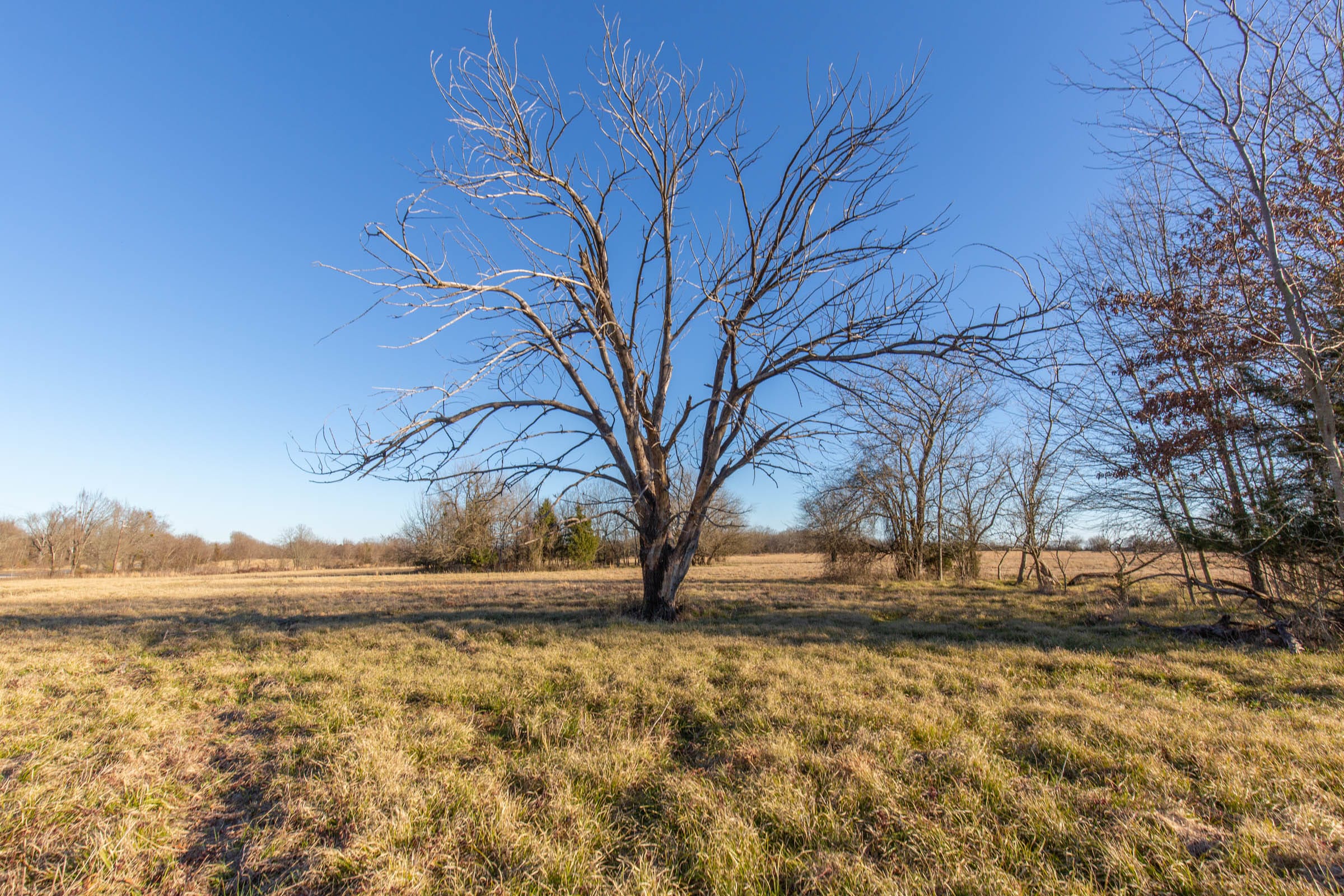 Wishing Star Ranch Tract 15 photo 3
