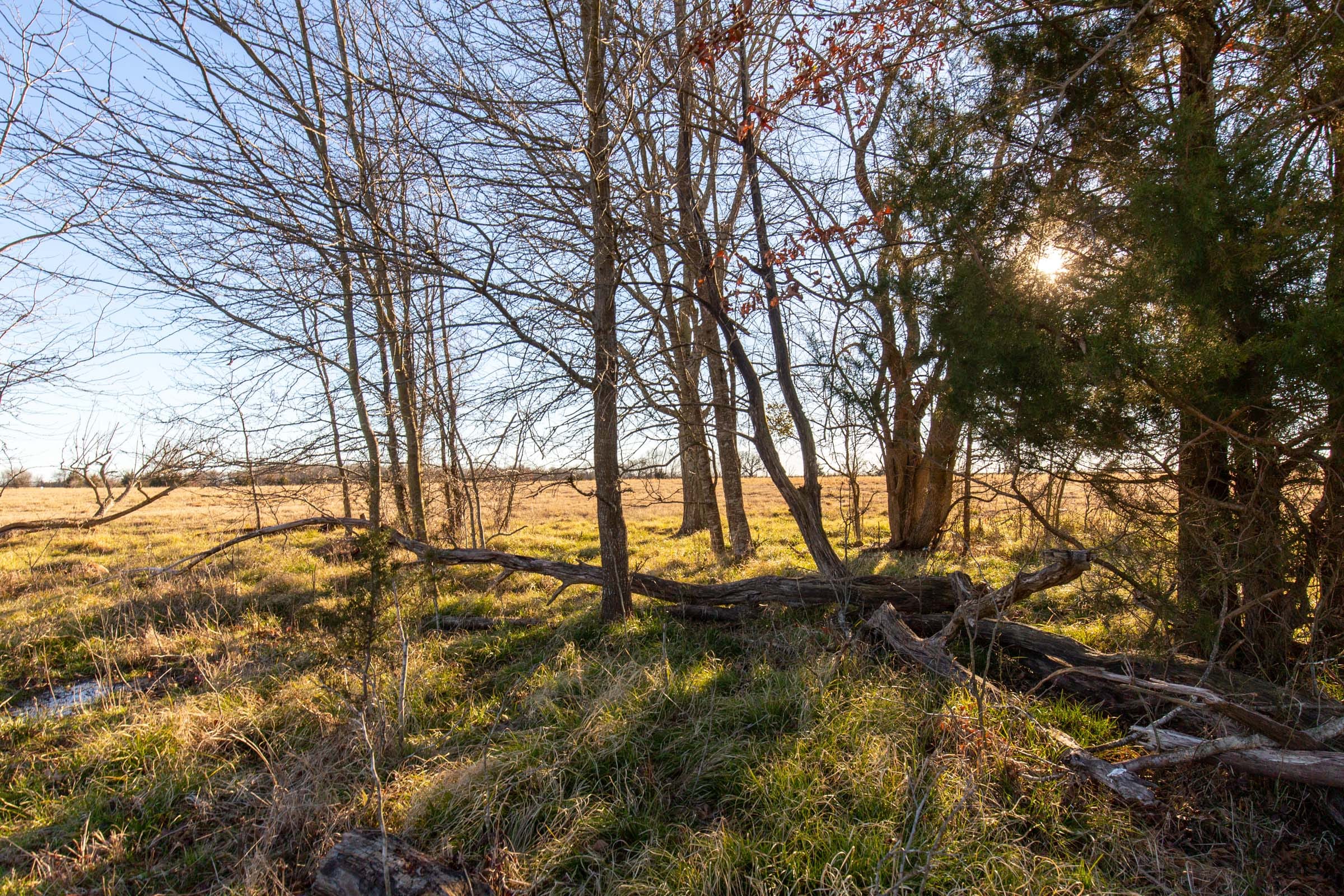 Wishing Star Ranch Tract 15 photo 4