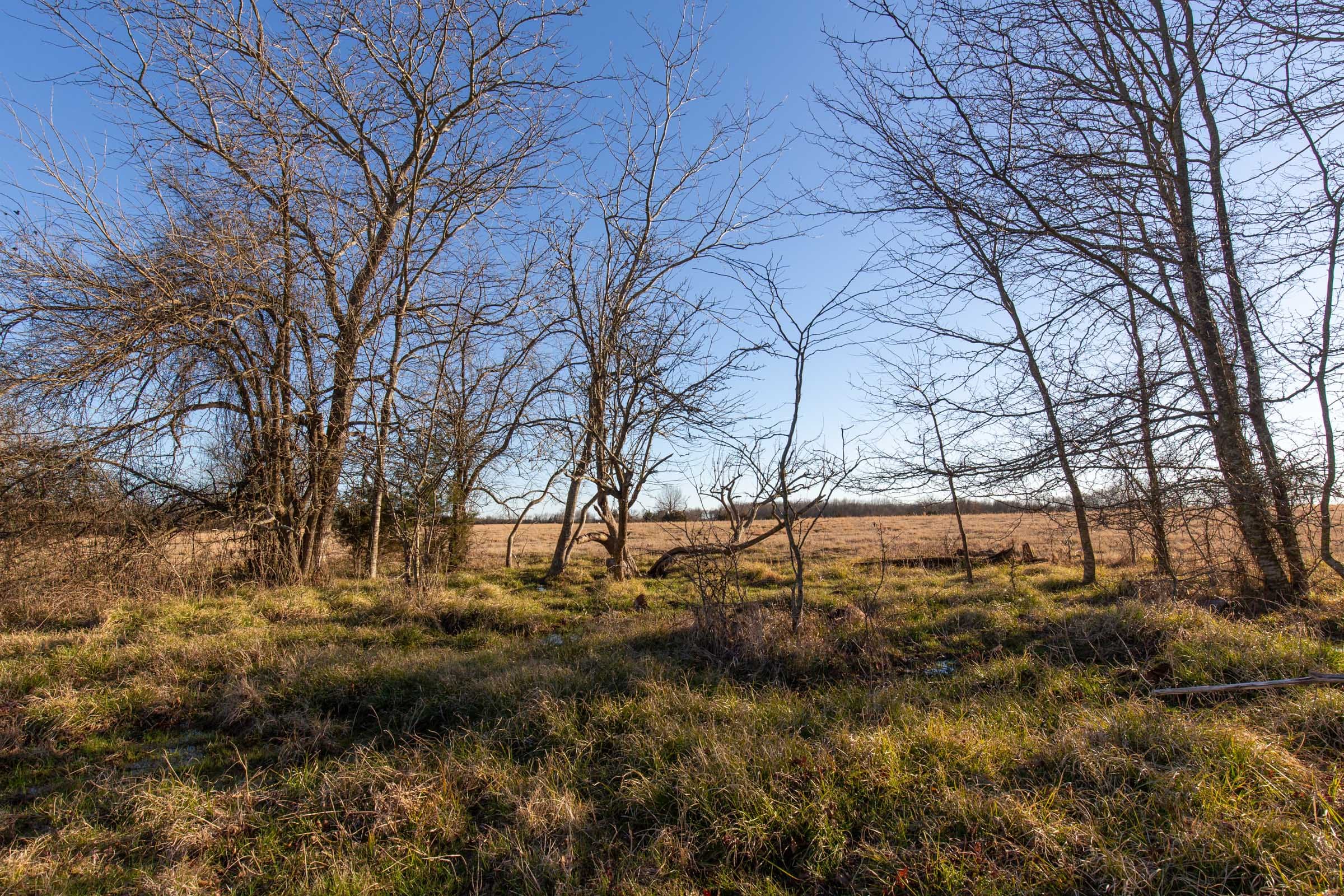 Wishing Star Ranch Tract 15 photo 5