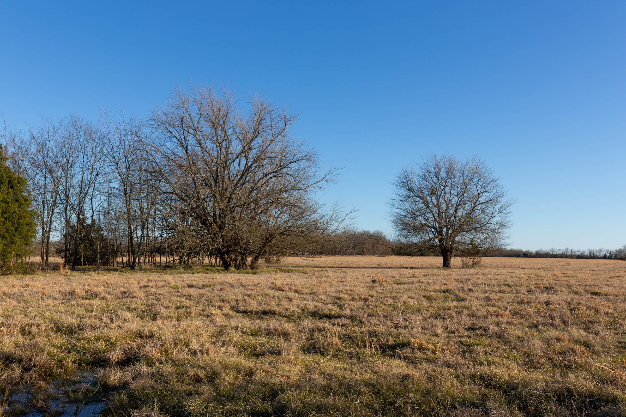 Wishing Star Ranch Tract 15 photo 6