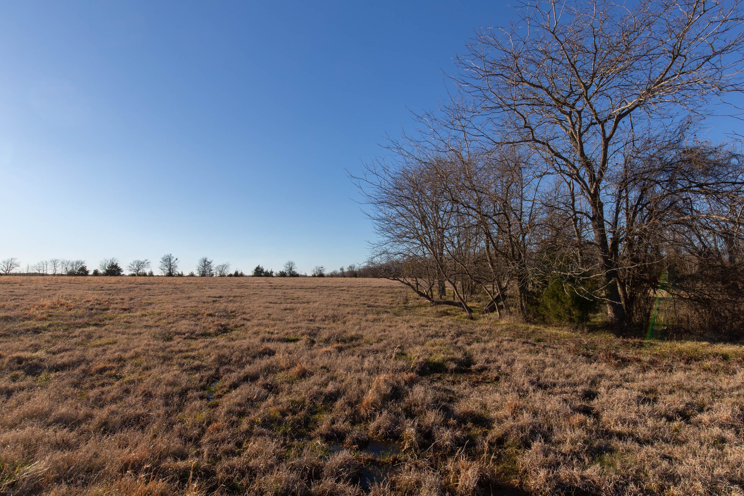 Wishing Star Ranch Tract 15 photo 11