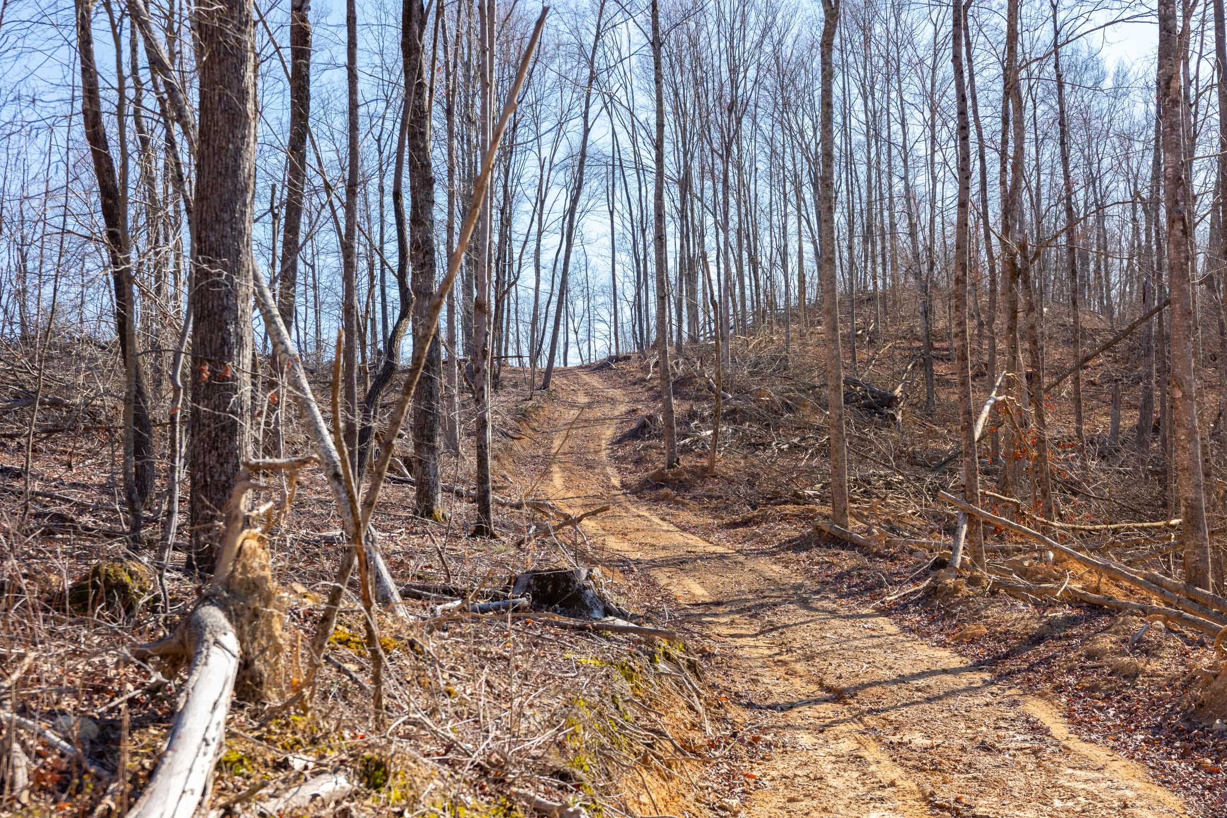 Creek Hollow Phase I Tract 19 photo 2