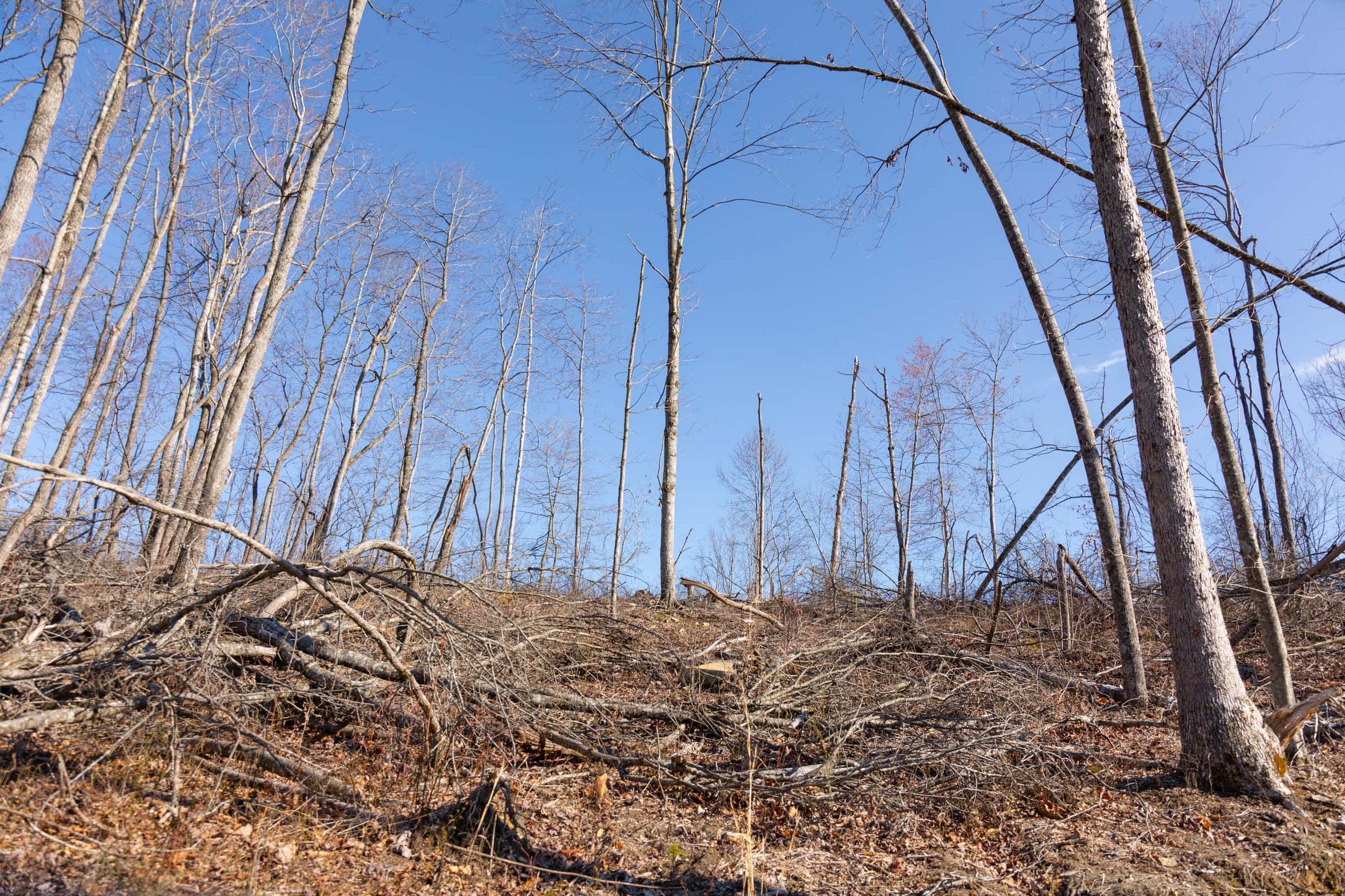 Creek Hollow Phase I Tract 19 photo 4