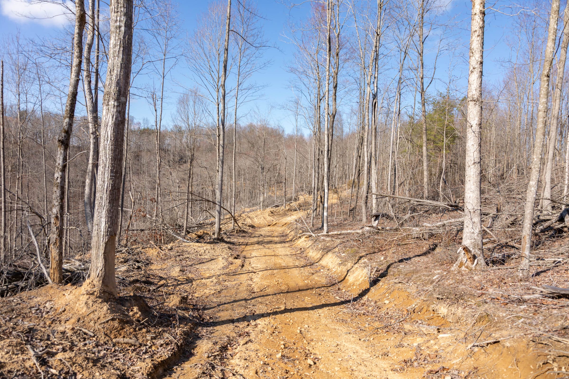Creek Hollow Phase I Tract 19 photo 6