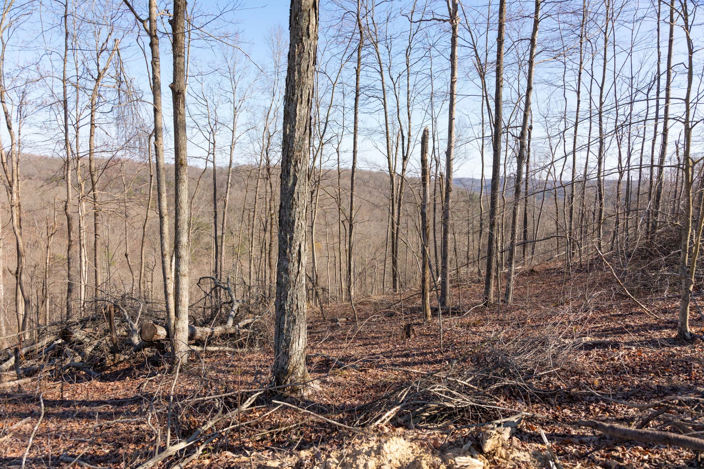 Creek Hollow Phase I Tract 19 photo 5